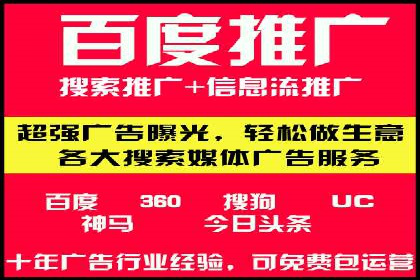 百度推广费用投入与品牌知名度提升的案例分析